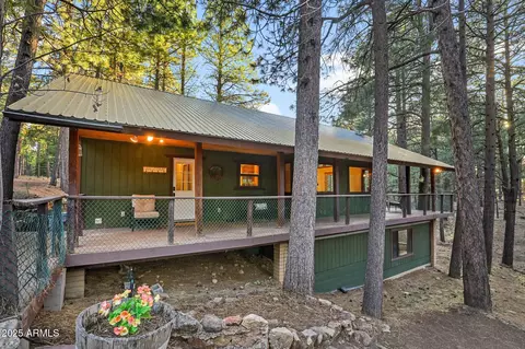 2729 Larson Loop, Forest Lakes, AZ 85931 photo 52
