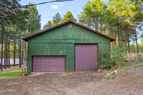 2729 Larson Loop, Forest Lakes, AZ 85931 photo 42