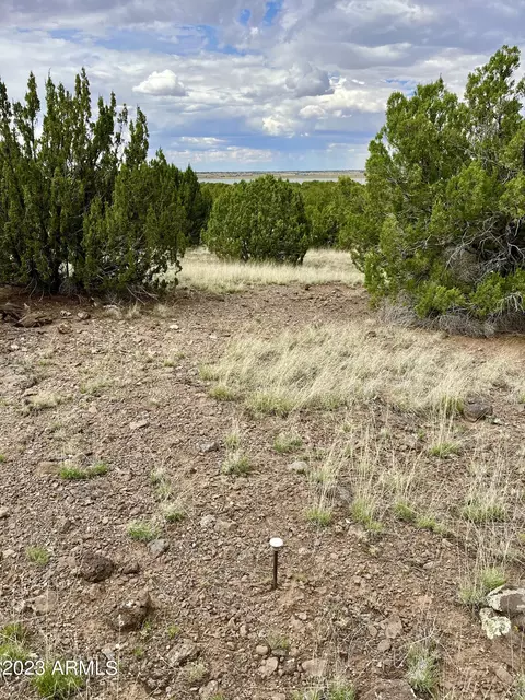 tbd County Rd N3440 -- #42, Concho, AZ 85924