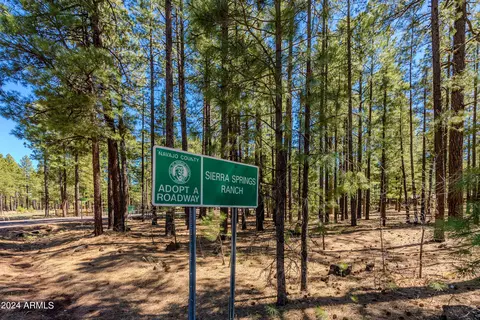 4583 Sky Hi Rd #-, Pinetop, AZ 85935