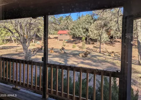 Exterior - 3440 N Meadow Dr, Pine, AZ 85544 photo 4 of 14