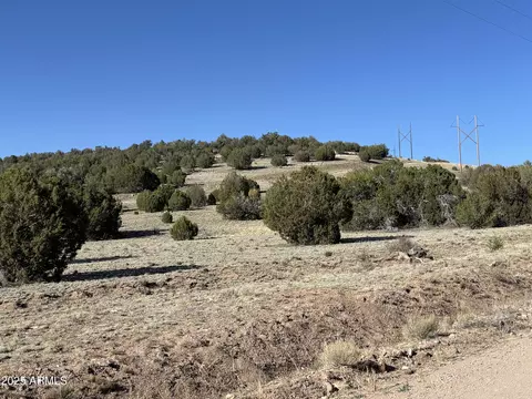 0 N Parcel -- #301-10-230-1557, Seligman, AZ 86337