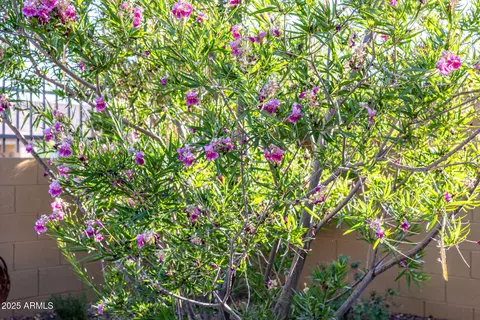 Other - 6929 E Quill St, Mesa, AZ 85207 photo 13 of 21