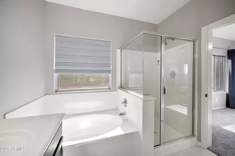 Bath - 4466 S Brice --, Mesa, AZ 85212 photo 4 of 5