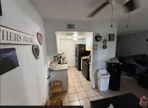 Budd&Joey  ブージートーピード Lost budgie in Glendale, Arizona