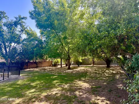 6525 N 3rd St, Phoenix, AZ 85012 photo 49