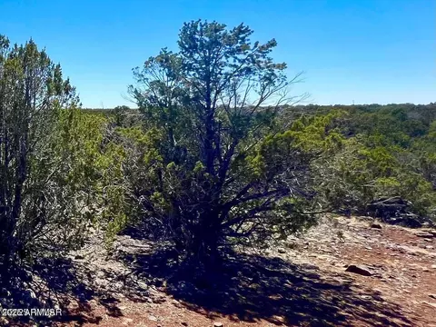 1528 Falcon Rd Lot A 1033 Acres -- #-, Show Low, AZ 85901