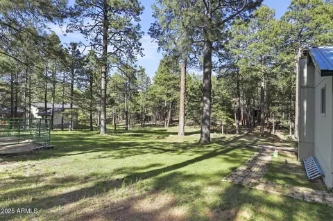 Exterior - 3017 Larson Loop, Forest Lakes, AZ 85931 photo 14 of 17