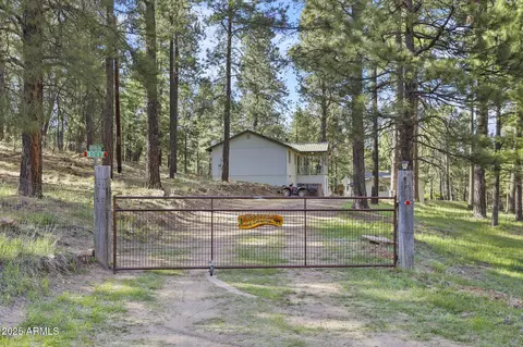 Other - 3017 Larson Loop, Forest Lakes, AZ 85931 photo 9 of 14