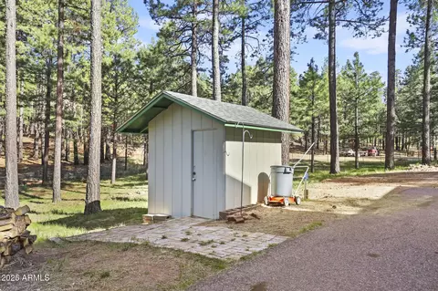 Exterior - 3017 Larson Loop, Forest Lakes, AZ 85931 photo 5 of 17