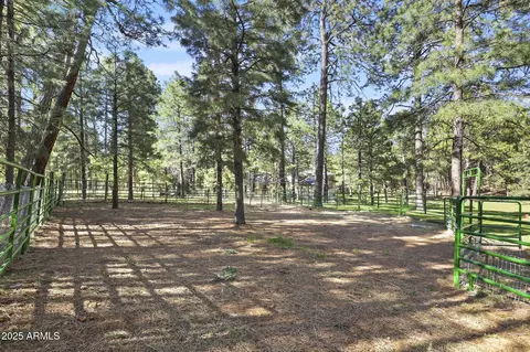 Exterior - 3017 Larson Loop, Forest Lakes, AZ 85931 photo 13 of 17