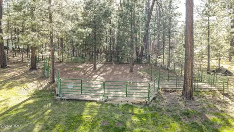 Other - 3017 Larson Loop, Forest Lakes, AZ 85931 photo 14 of 14