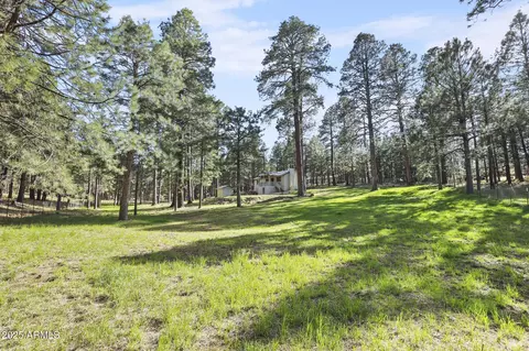 Exterior - 3017 Larson Loop, Forest Lakes, AZ 85931 photo 15 of 17