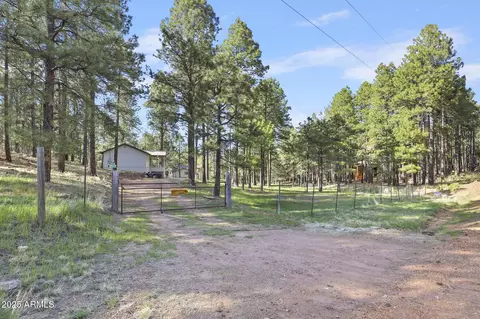 Other - 3017 Larson Loop, Forest Lakes, AZ 85931 photo 12 of 14