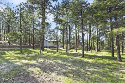 Exterior - 3017 Larson Loop, Forest Lakes, AZ 85931 photo 16 of 17