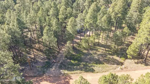 Other - 3017 Larson Loop, Forest Lakes, AZ 85931 photo 13 of 14