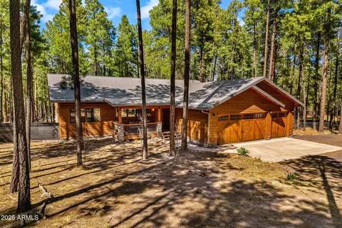 105 County Road 2266 --, Alpine, AZ 85920