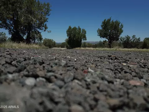 1155 W Half Moon Ct, Ash Fork, AZ 86320 photo 49