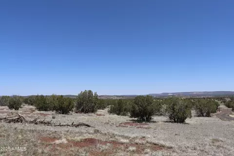 1155 W Half Moon Ct, Ash Fork, AZ 86320 photo 35