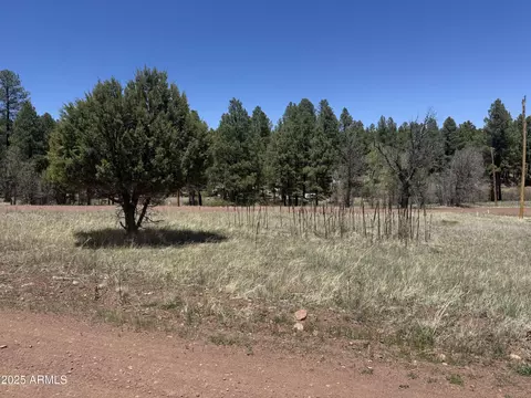 527 Summit Dr #196, Pinedale, AZ 85934