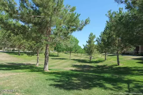 1134 S Lydia Ln, Gilbert, AZ 85296 photo 39