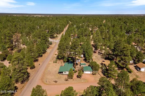 2841 Pine Rim Rd, Overgaard, AZ 85933 photo 33