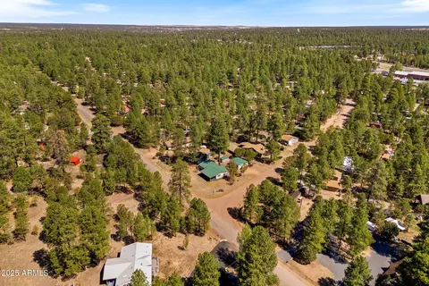 2841 Pine Rim Rd, Overgaard, AZ 85933 photo 31