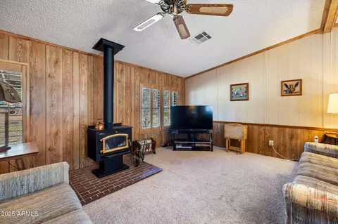 2841 Pine Rim Rd, Overgaard, AZ 85933 photo 8