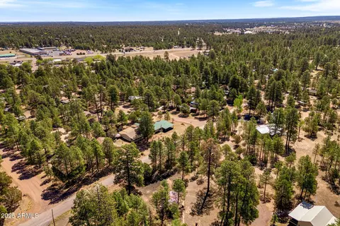 2841 Pine Rim Rd, Overgaard, AZ 85933 photo 32