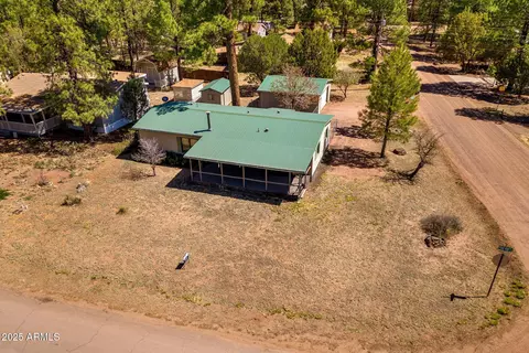 2841 Pine Rim Rd, Overgaard, AZ 85933 photo 29