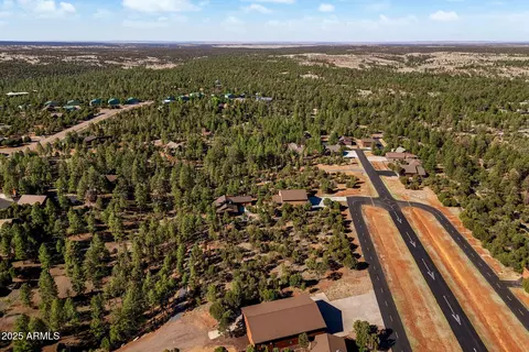 View/Area - 2352 Immelman Cir, Overgaard, AZ 85933 photo 3 of 8