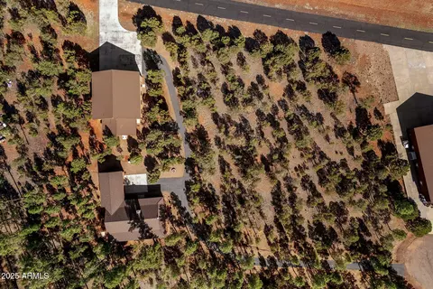 View/Area - 2352 Immelman Cir, Overgaard, AZ 85933 photo 2 of 8