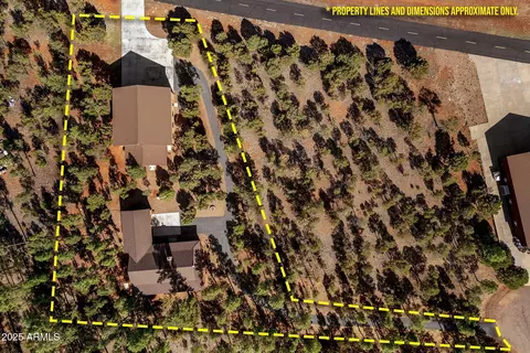 View/Area - 2352 Immelman Cir, Overgaard, AZ 85933 photo 6 of 8
