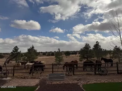 Other - 2676 Lodge Loop, Overgaard, AZ 85933 photo 3 of 15