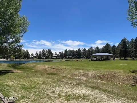 Other - 2676 Lodge Loop, Overgaard, AZ 85933 photo 15 of 15