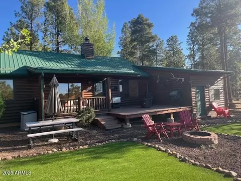 Exterior - 2676 Lodge Loop, Overgaard, AZ 85933 photo 1 of 4