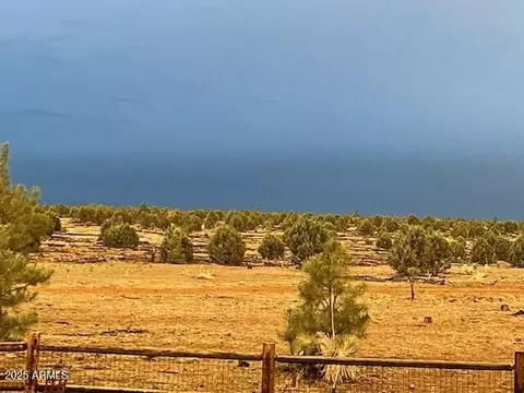 Other - 2676 Lodge Loop, Overgaard, AZ 85933 photo 4 of 15