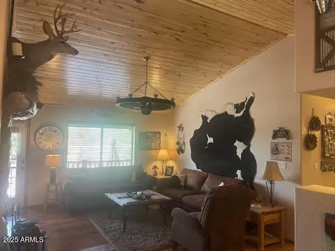 Other - 2676 Lodge Loop, Overgaard, AZ 85933 photo 5 of 15