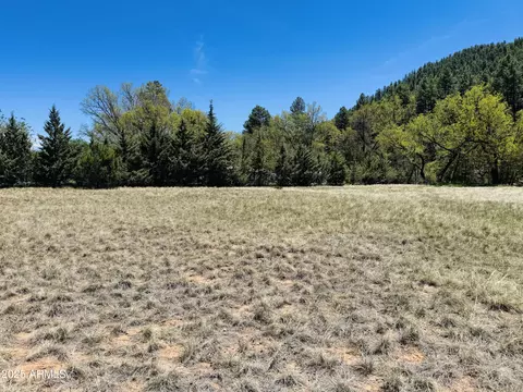 000 Juniper Rd #149;B, Pine, AZ 85544 photo 8