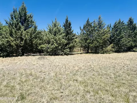 000 Juniper Rd #149;B, Pine, AZ 85544 photo 4