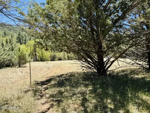 000 Juniper Rd #149;B, Pine, AZ 85544 photo 2