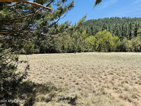 000 Juniper Rd #149;B, Pine, AZ 85544 photo 10