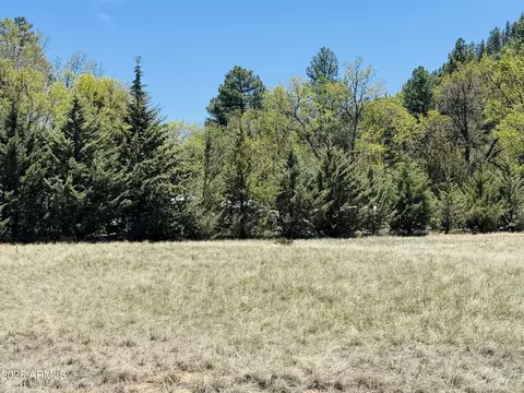000 Juniper Rd #149;B, Pine, AZ 85544 photo 6