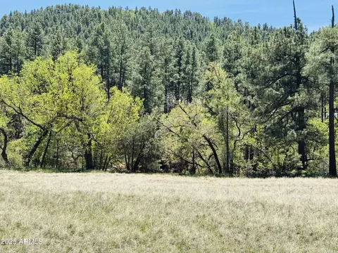 000 Juniper Rd #149;B, Pine, AZ 85544 photo 11
