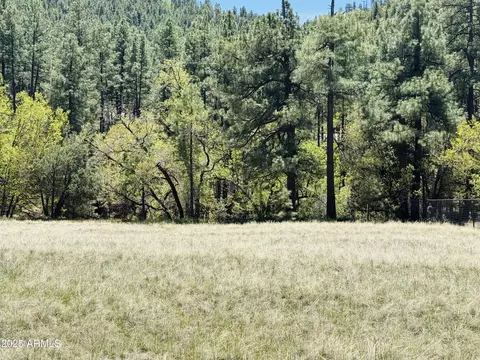 000 Juniper Rd #149;B, Pine, AZ 85544 photo 7