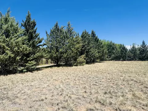 000 Juniper Rd #149;B, Pine, AZ 85544 photo 12