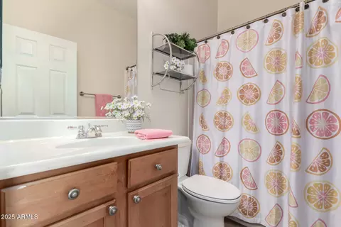 Bath - 7445 Eagle Crest Dr #1111, Mesa, AZ 85207 photo 2 of 2