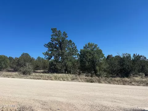 lot7 Stanford -- #7, Vernon, AZ 85940