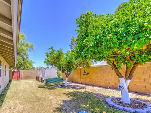 2046 E Downing St, Mesa, AZ 85213 photo 43