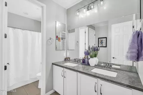 Bath - 10353 E Trillium Ave, Mesa, AZ 85212 photo 6 of 6